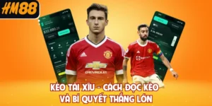 Kèo Tài Xĩu - Cách Đọc Kèo Và Bí Quyết Thắng Lớn 2026